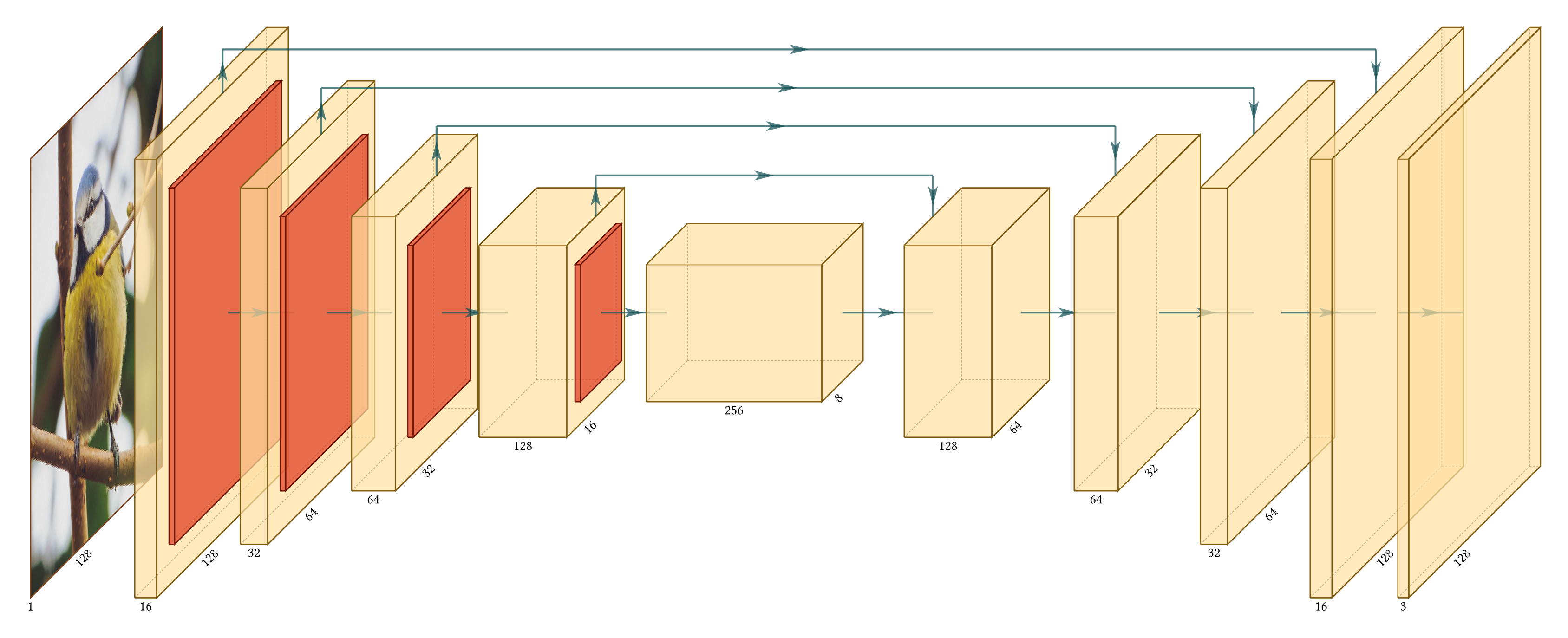 U-Net visualization