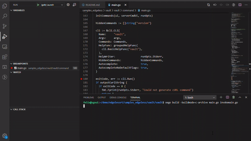 debugging with vscode