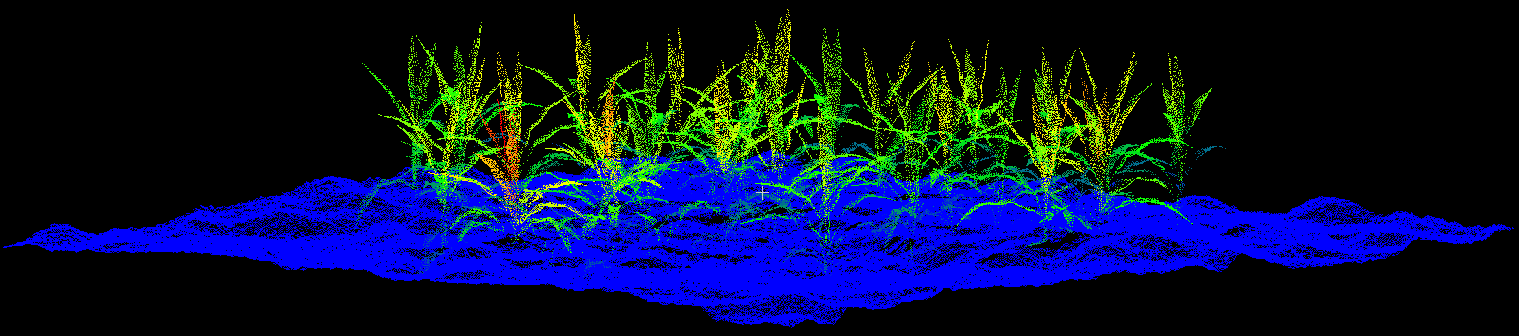 SorghumPointCloud