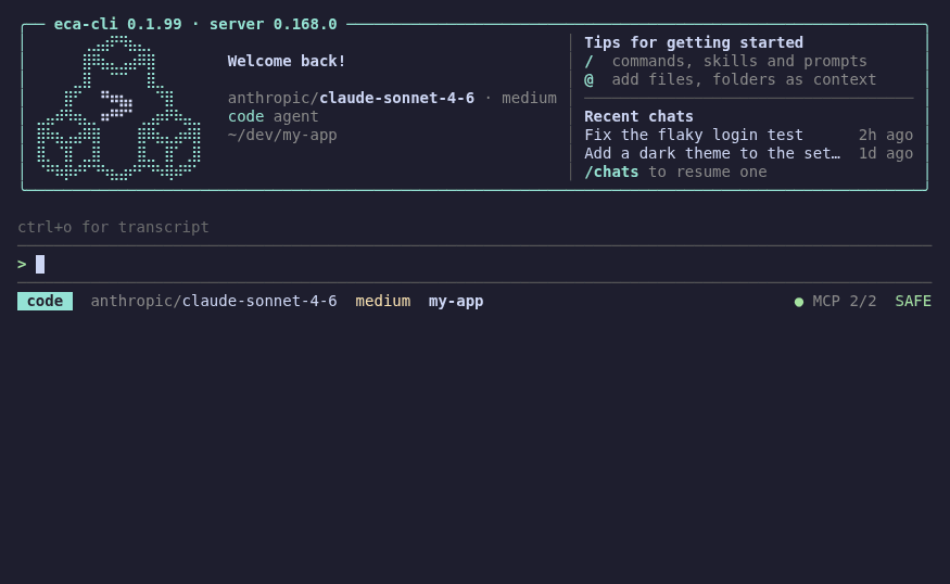 ECA running in the terminal