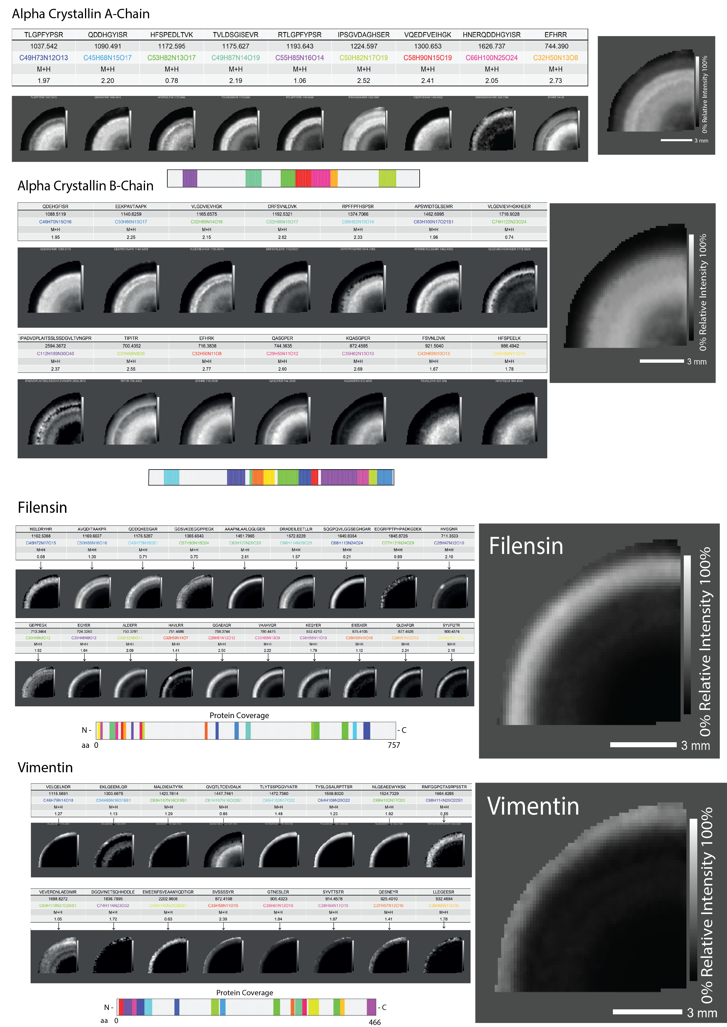 Bovin lens cluster image rendering