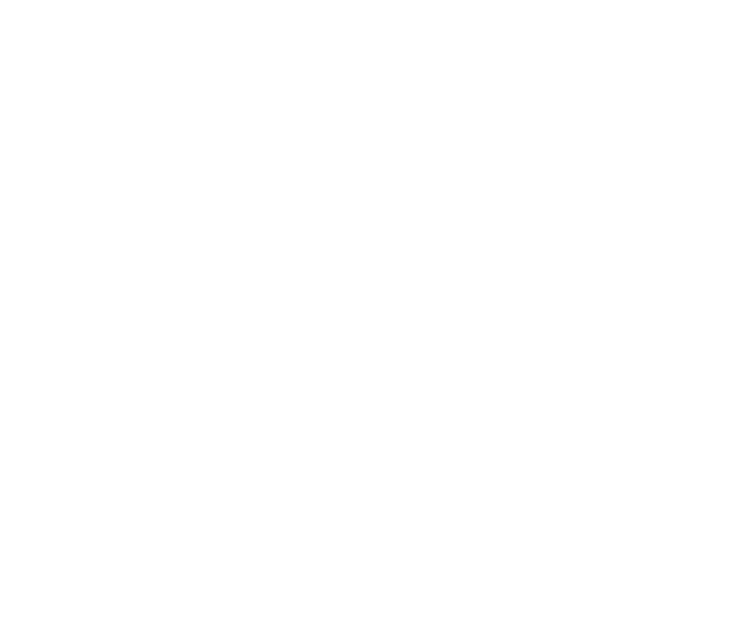 Briana XV años
