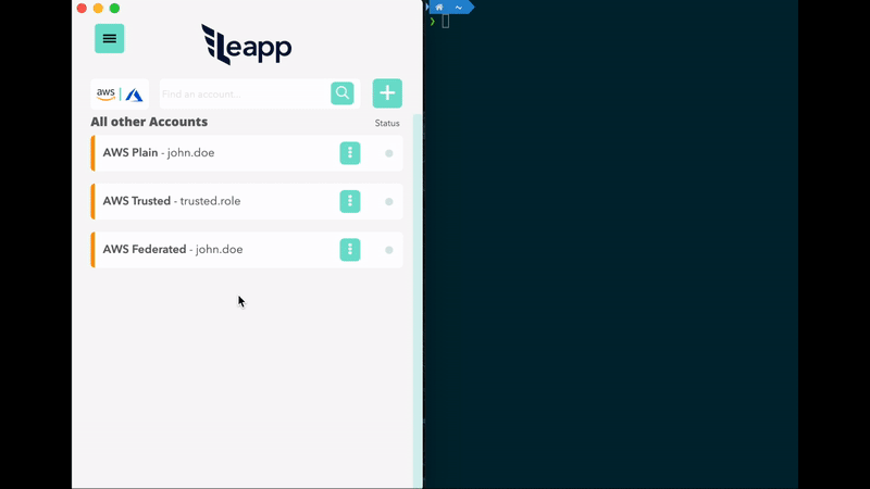 Leapp App animation