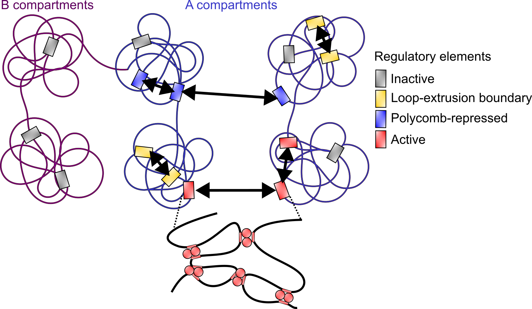 Summary model from the paper