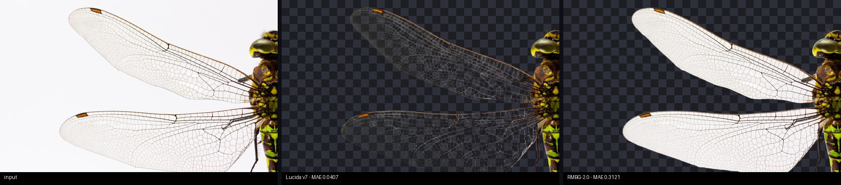 Transparency comparison: Lucida vs Ideogram