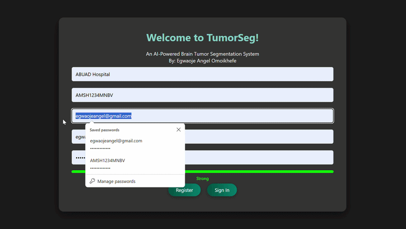 Brain Tumor Segmentation Demo