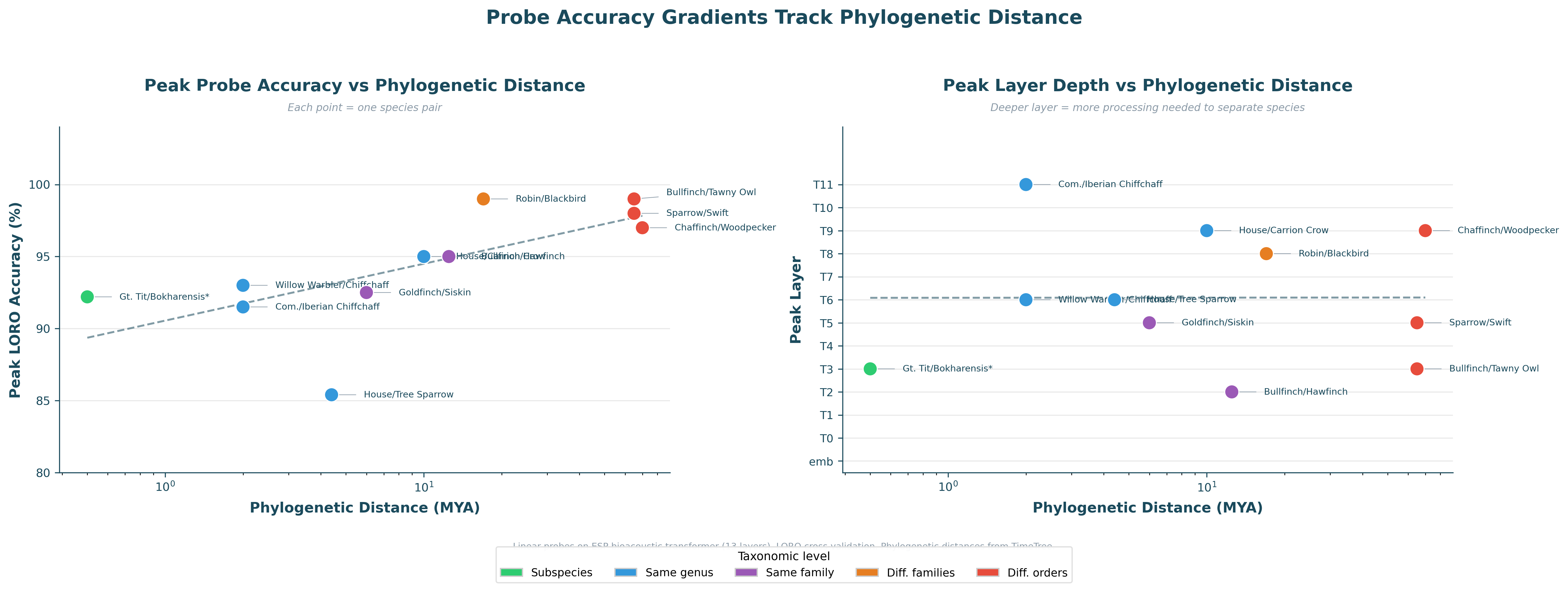 Phylogenetic gradient