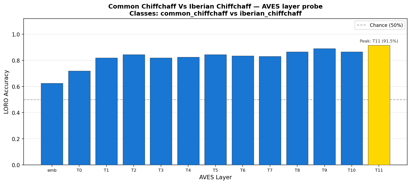 Common vs Iberian Chiffchaff accuracy