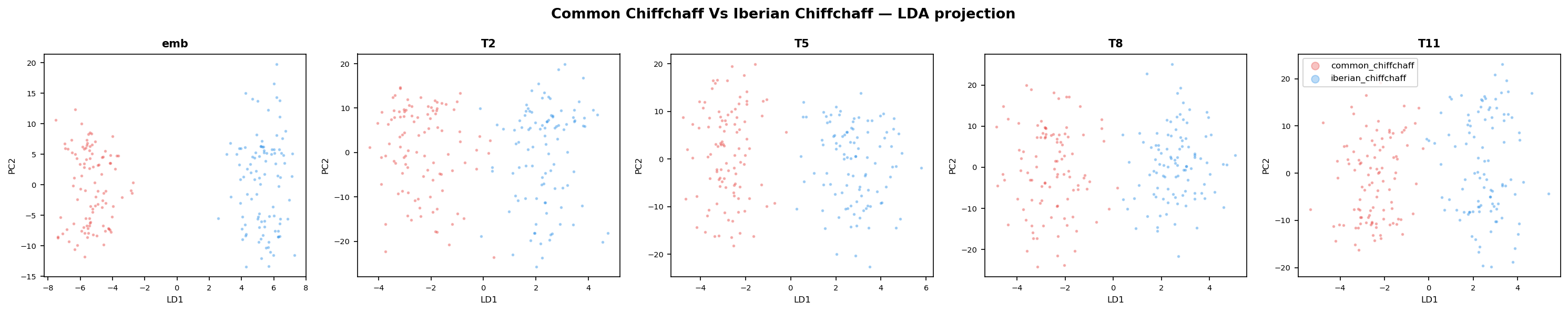 Common Chiffchaff vs Iberian Chiffchaff LDA