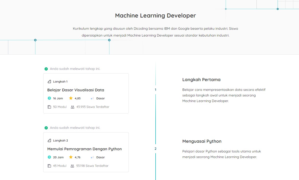 Machine Learning Developer