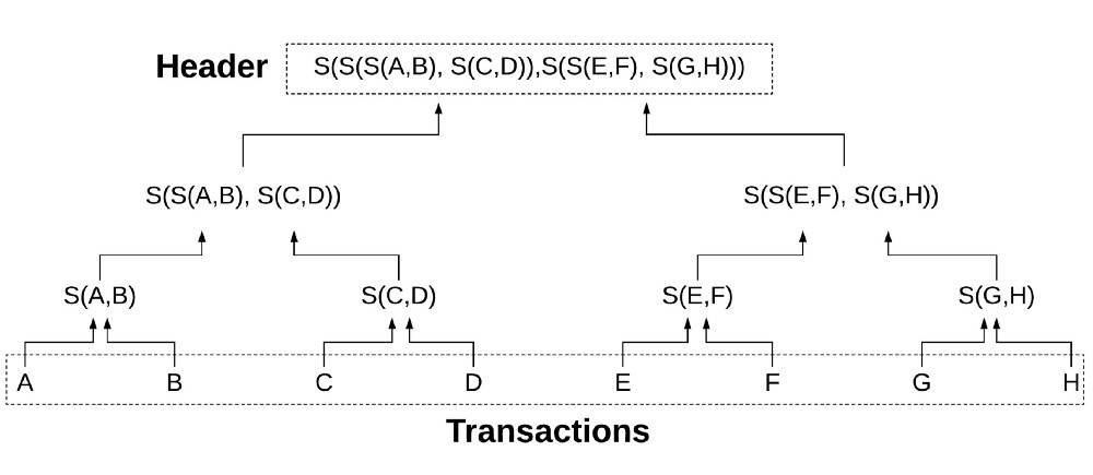 Merkle Tree