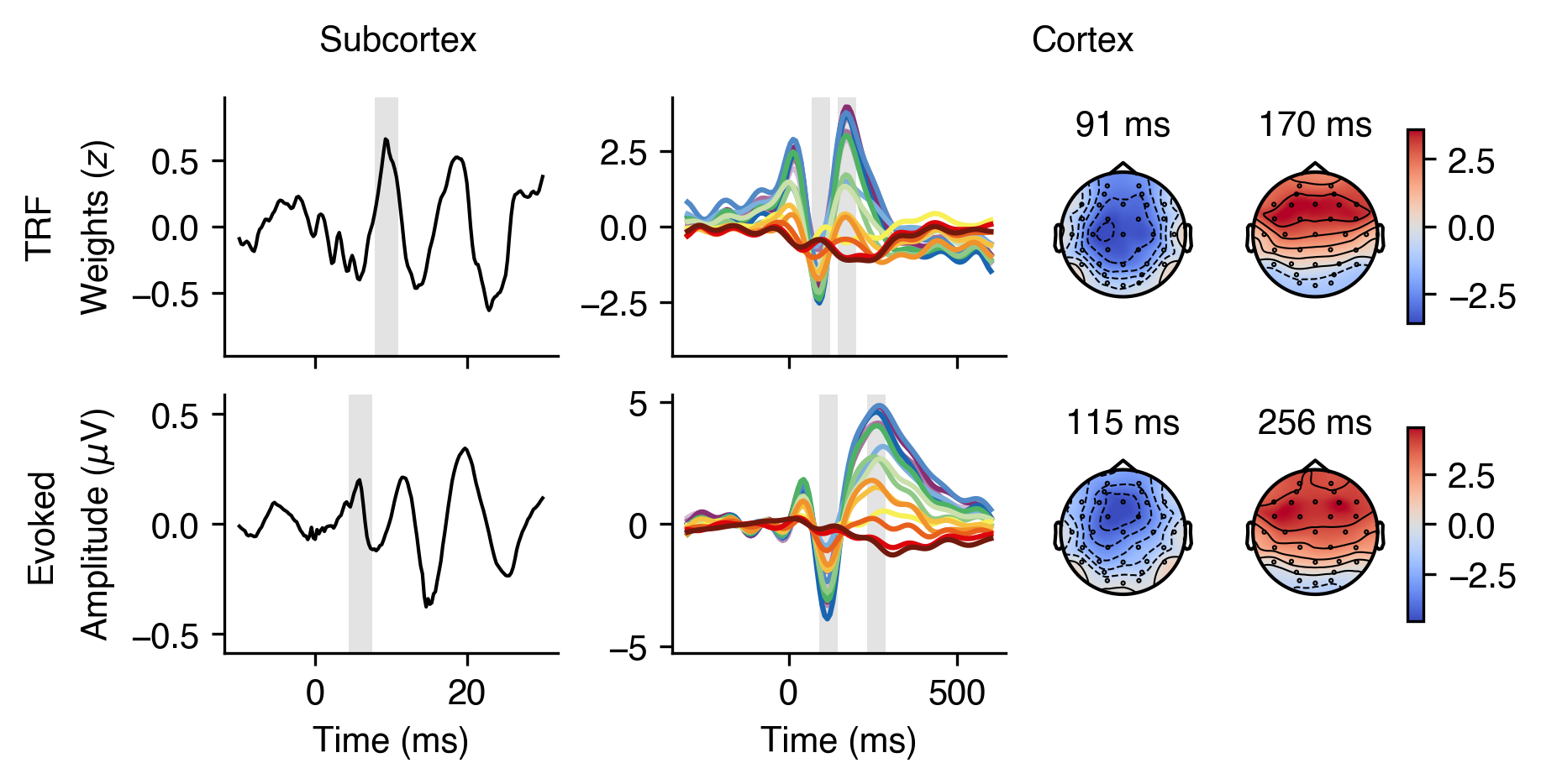 Encoding models and evoked responses obtained through our pipeline.