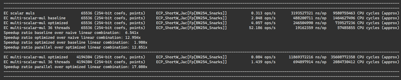 BN254-Snarks multi-scalar multiplication