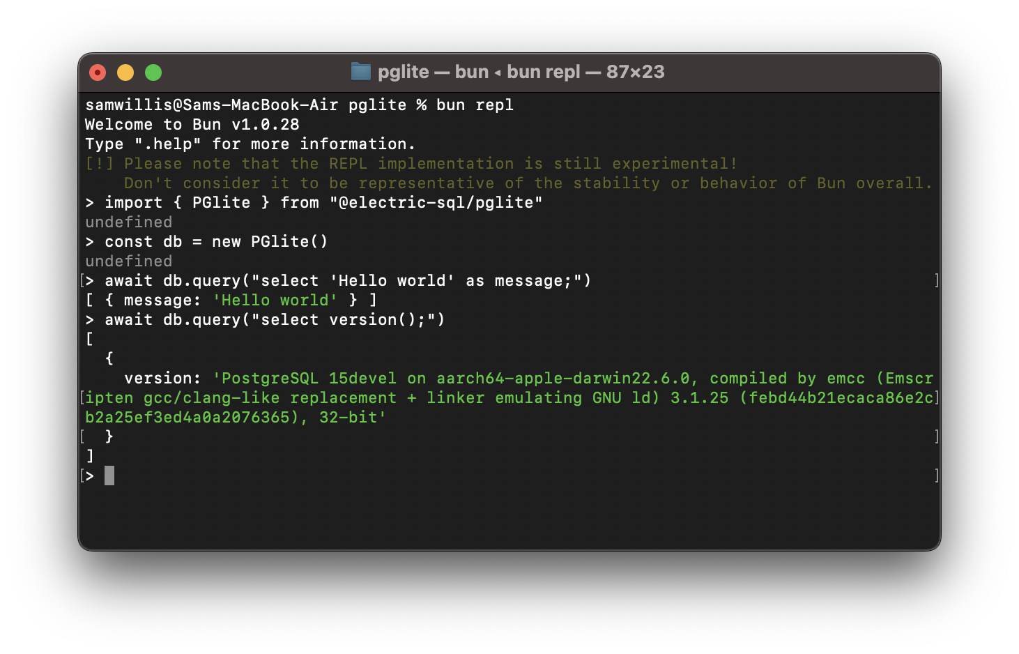 PGlite repl screenshot