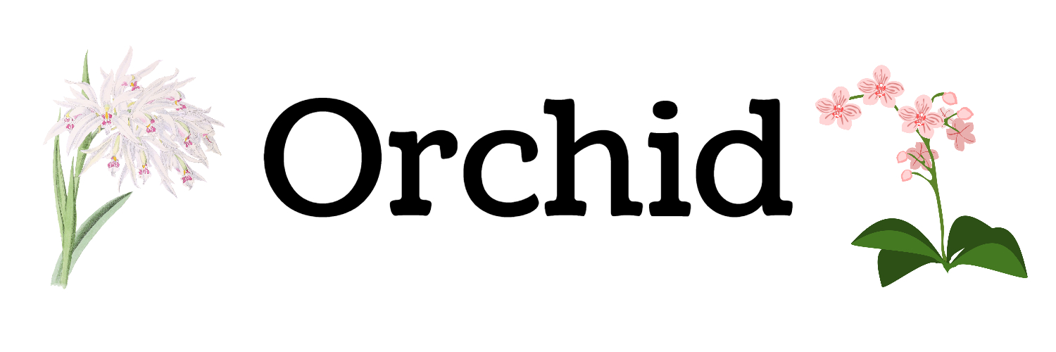 orchid Logo