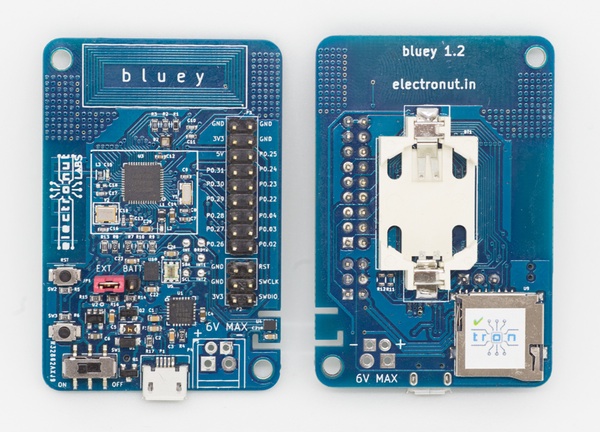 Bluey, from the project README