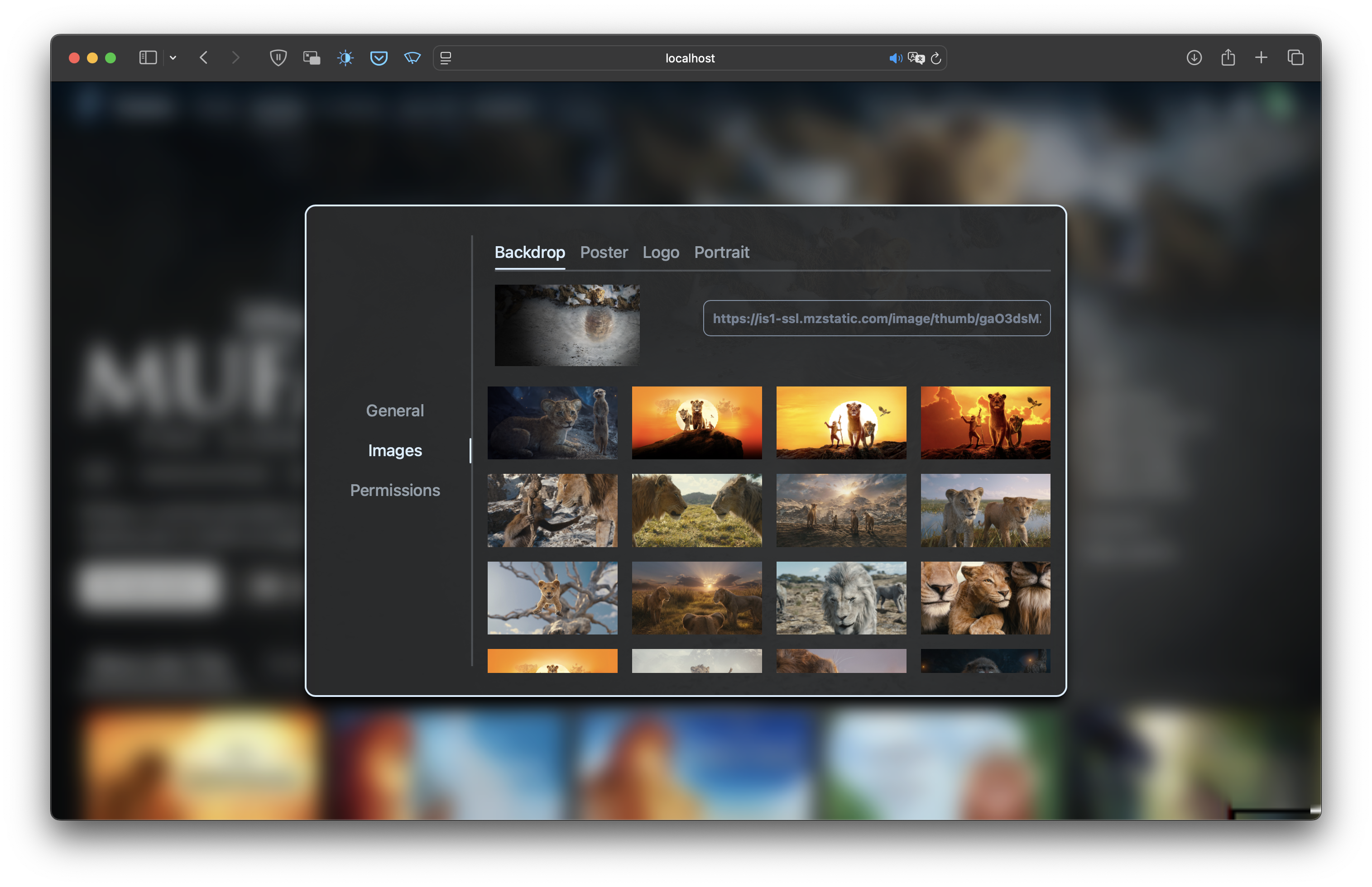 Media Details Showing Edit dialog with Image tab
