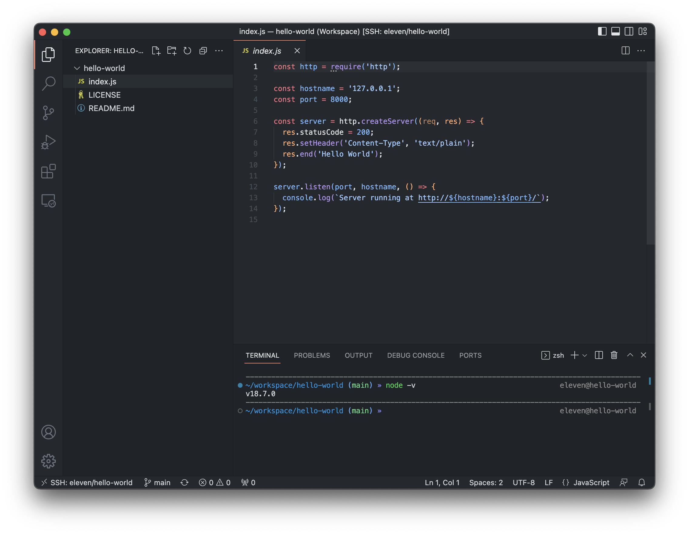 VSCode opened in a Node.js application repository