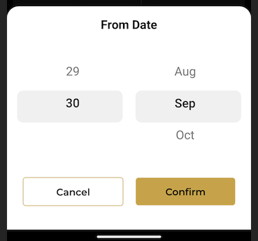  Default view of the date picker modal.