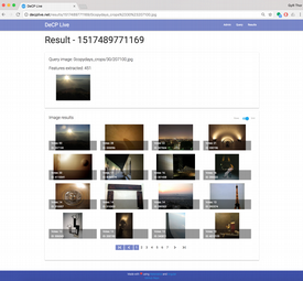 DeCP-Live results for a single query image
