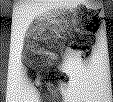 A black and white dithered photograph of a sleeping cat taken from directly above the cat.