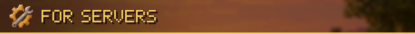 For Servers
