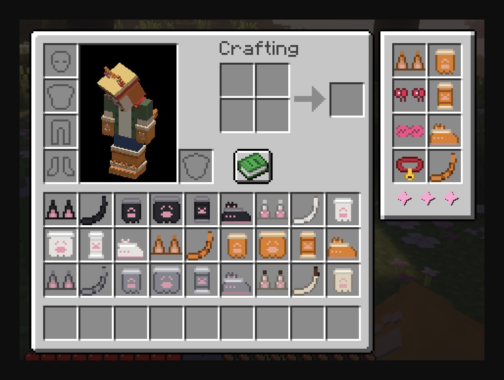 The cosmetic slots next to the inventory
