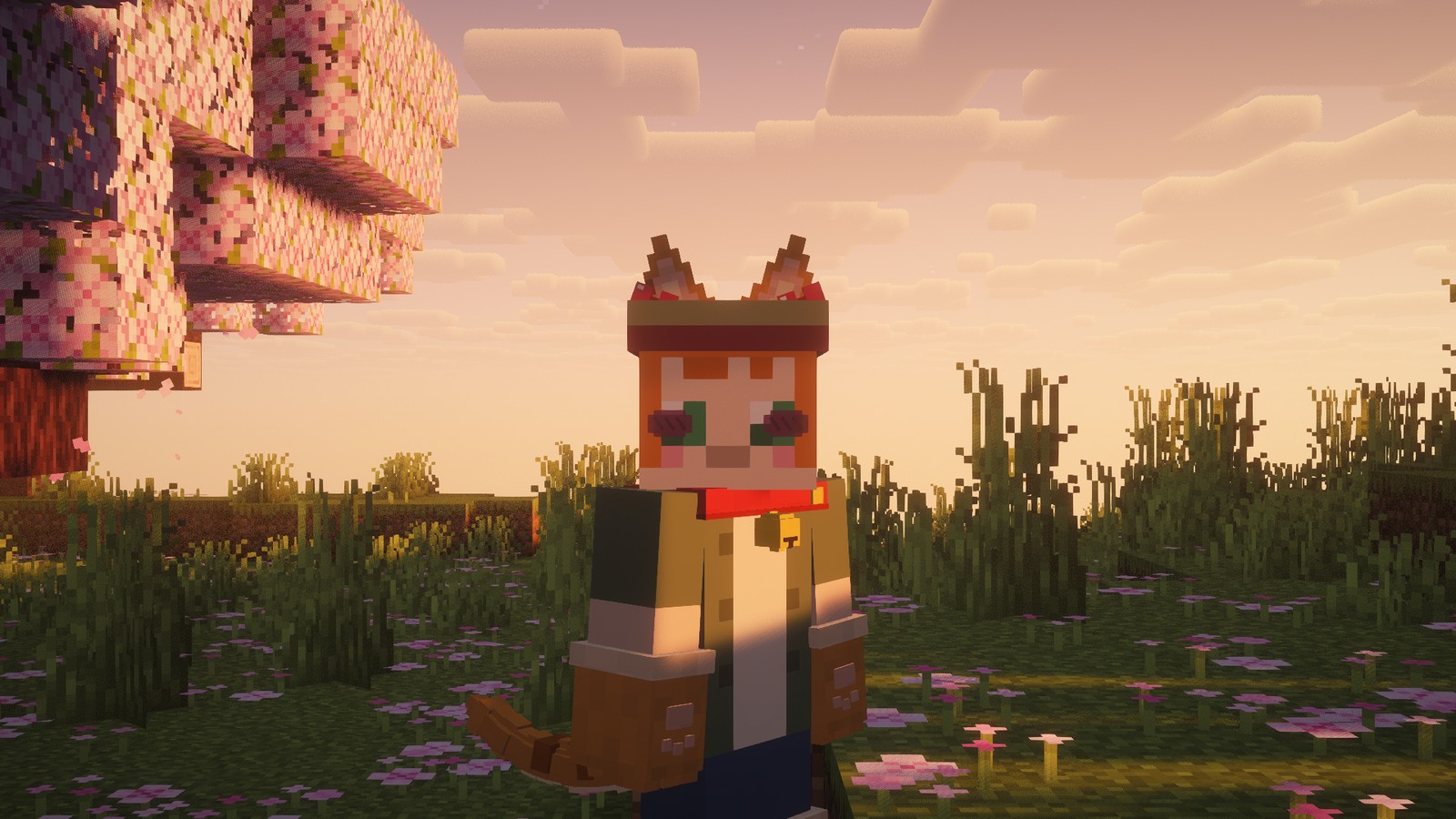 Full Neko at sunset