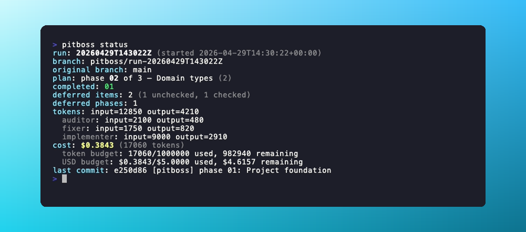 pitboss status output