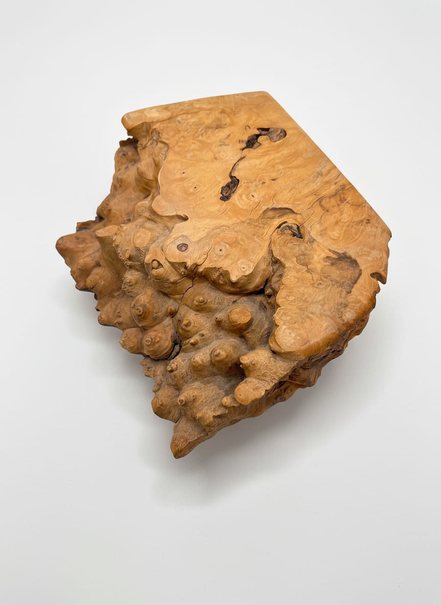 Burlwood Box — detail 2