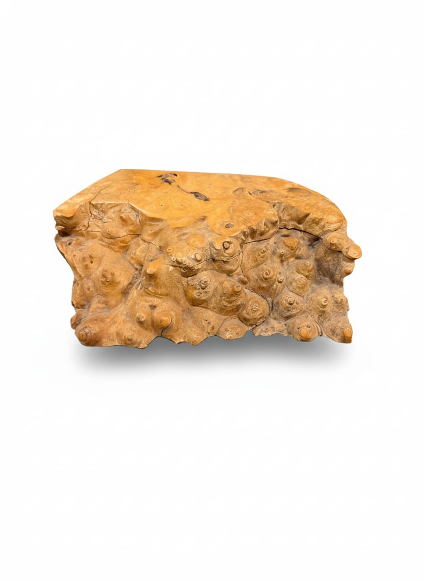 Burlwood Box — detail 3