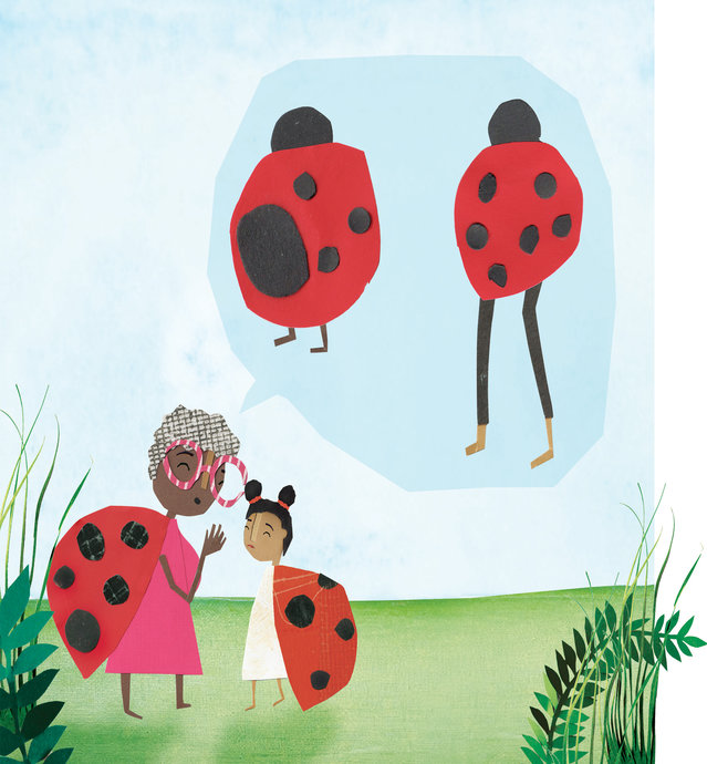 Lara the Yellow Ladybird