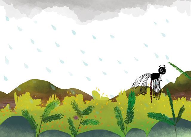 द्रुवी की छतरी