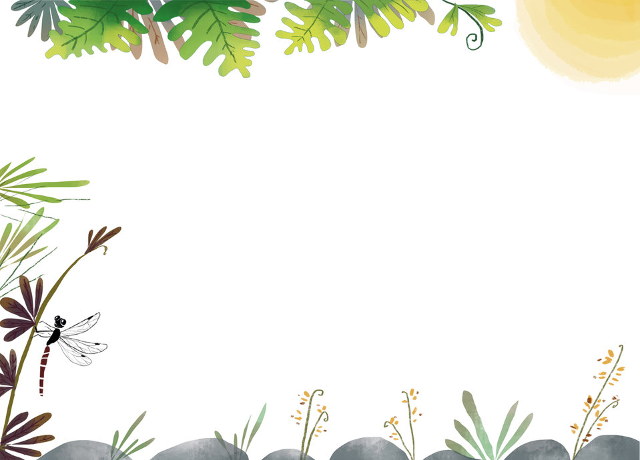 द्रुवी की छतरी