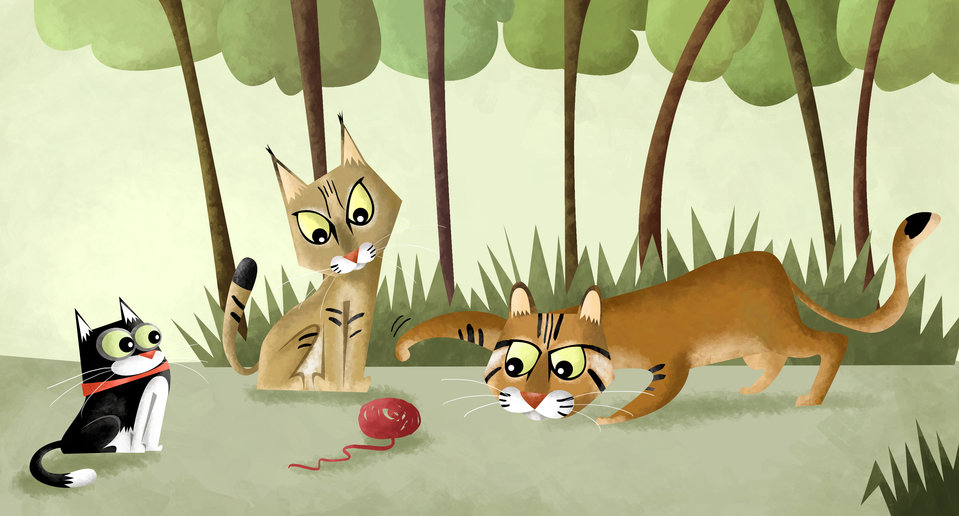 बनबिलाव! बनबिलाव!