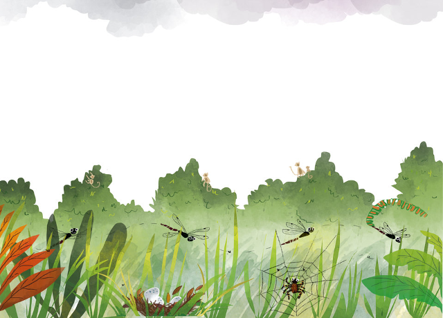 द्रुवी की छतरी