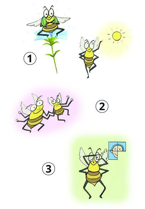 मधुमक्खियाँ क्यों भन-भन करती हैं?