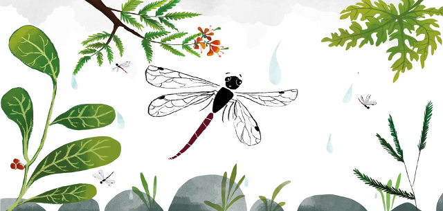 द्रुवी की छतरी