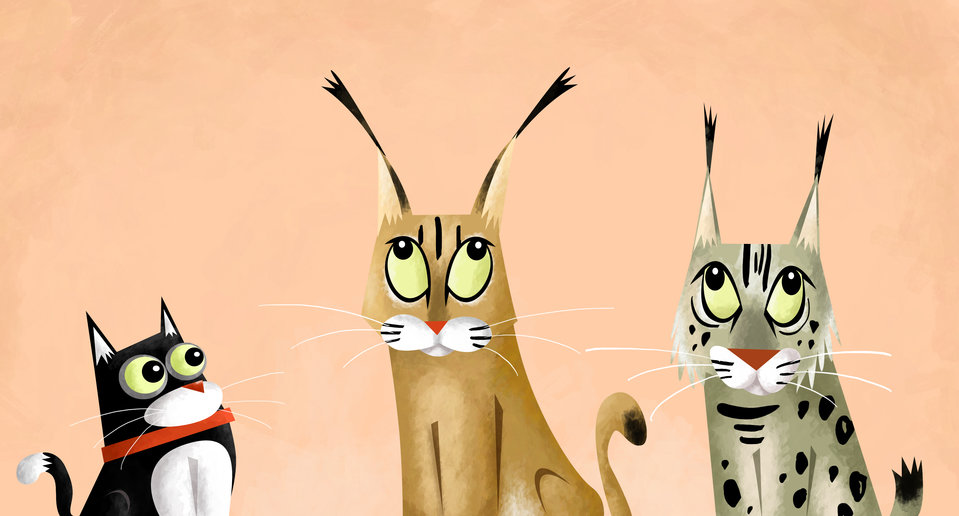 बनबिलाव! बनबिलाव!