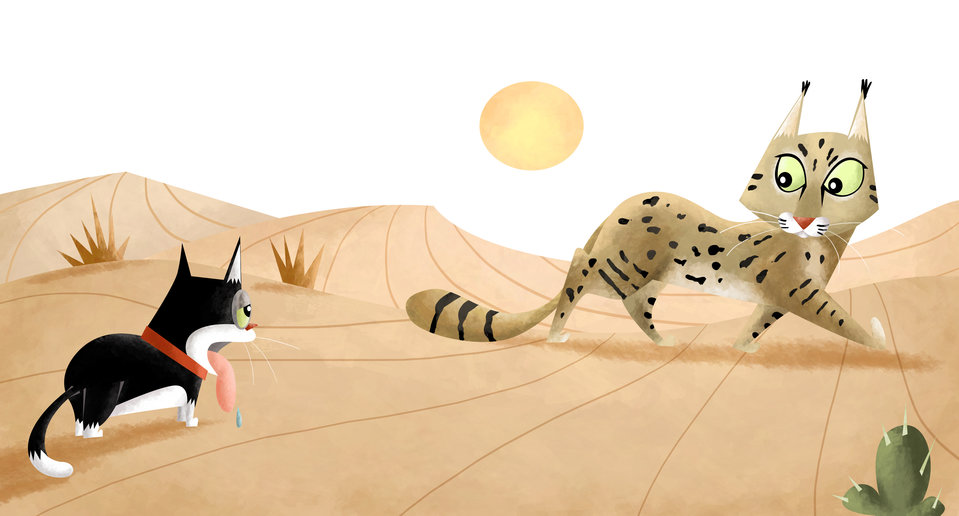 बनबिलाव! बनबिलाव!