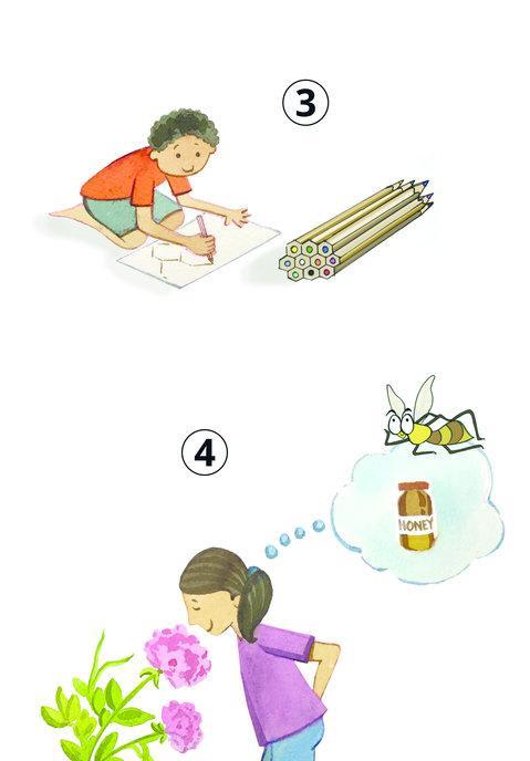 मधुमक्खियाँ क्यों भन-भन करती हैं?