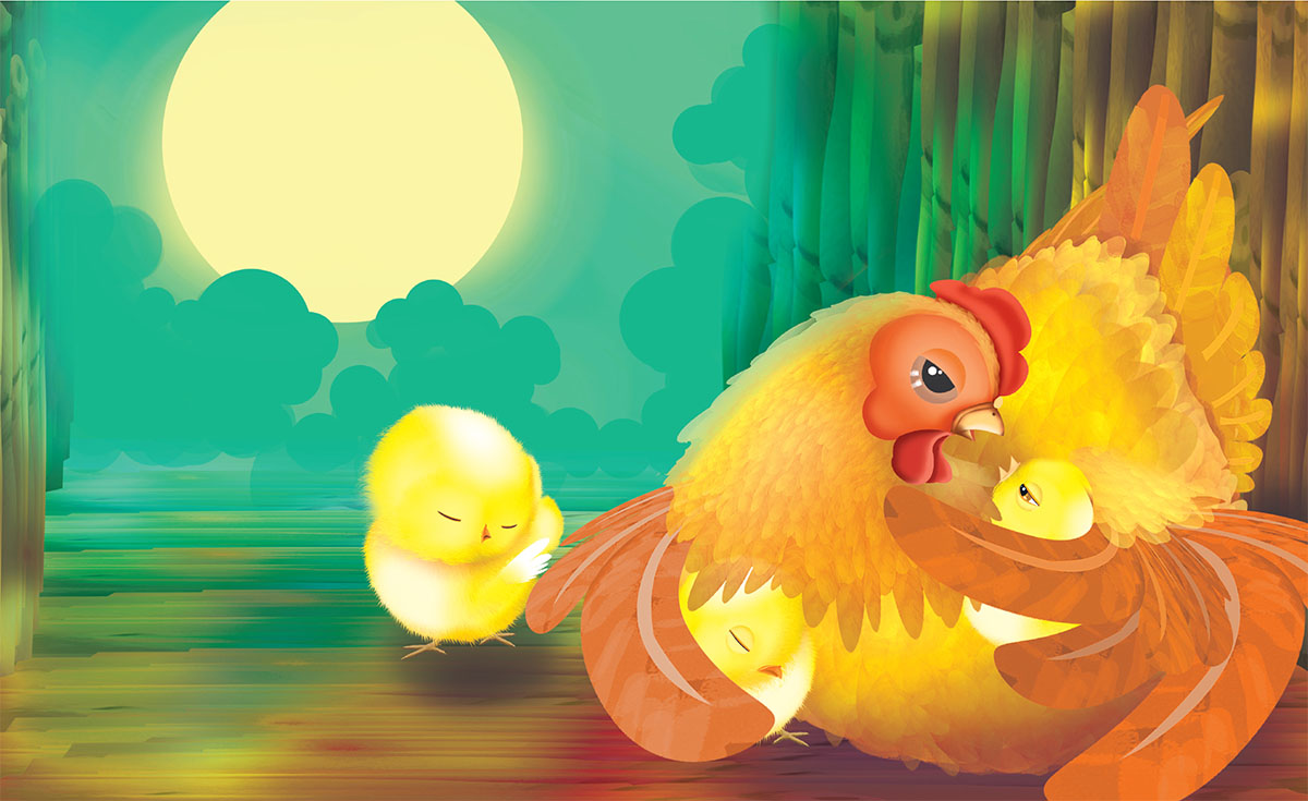 Gà con tìm bố_ch-1