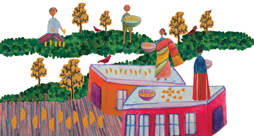 Hashim Saves the Mangoes_ch-6