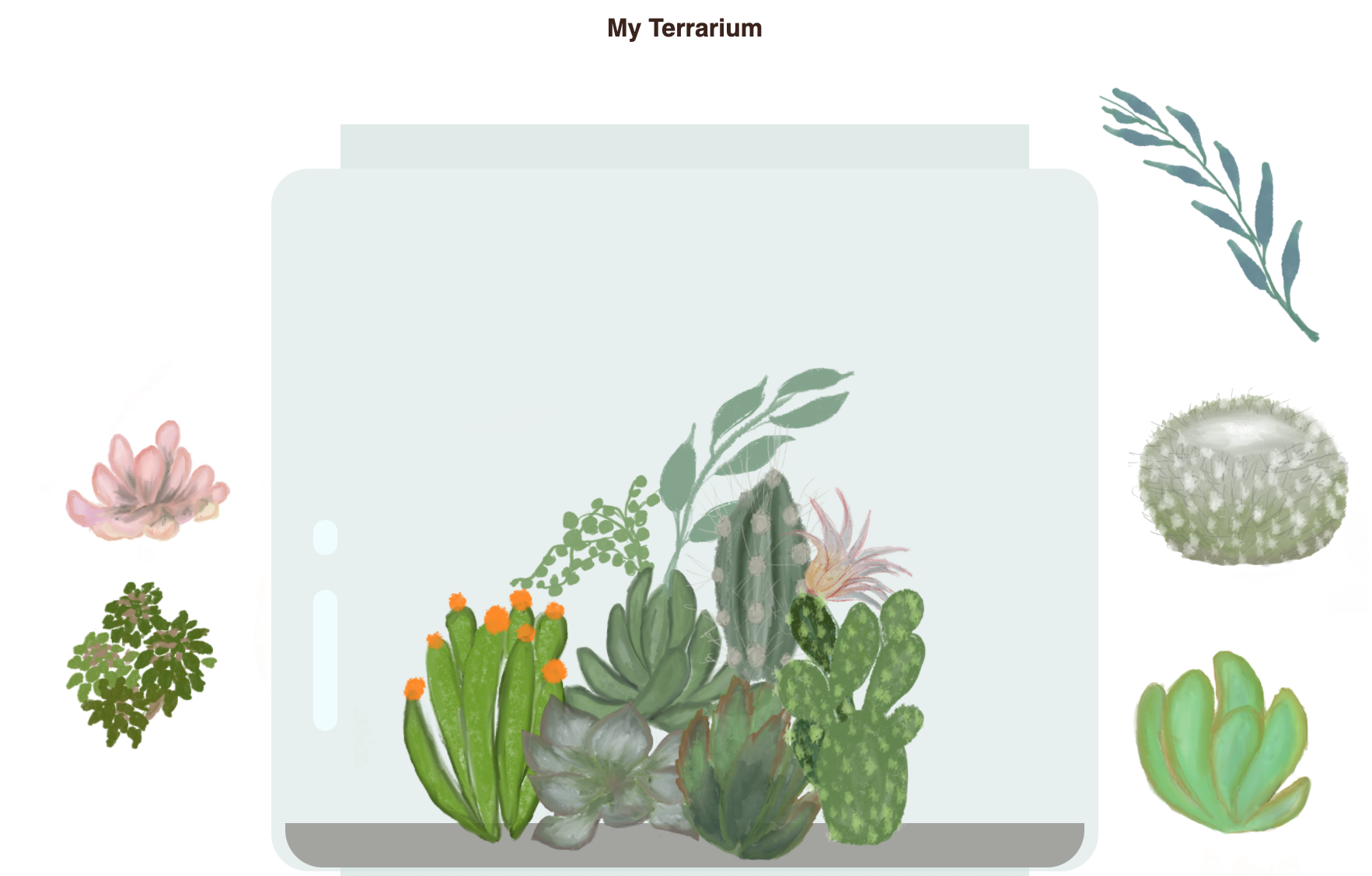 my terrarium