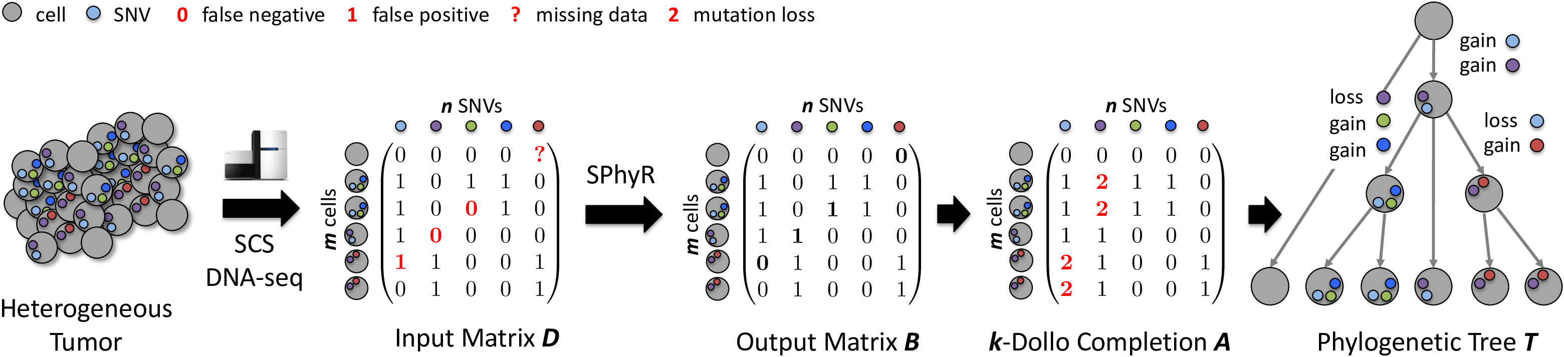 Overview of SPhyR