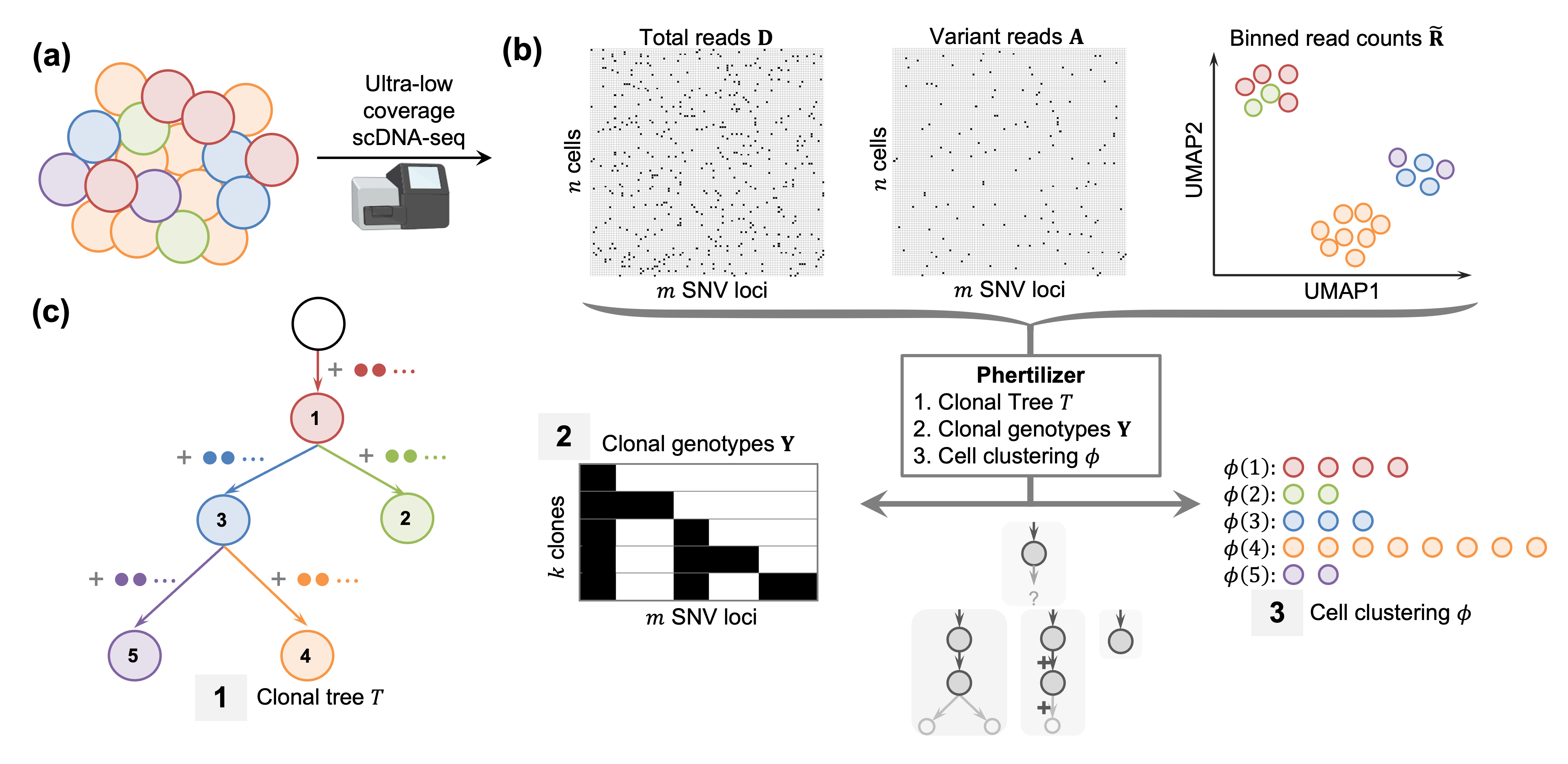 Overview of Phertilizer