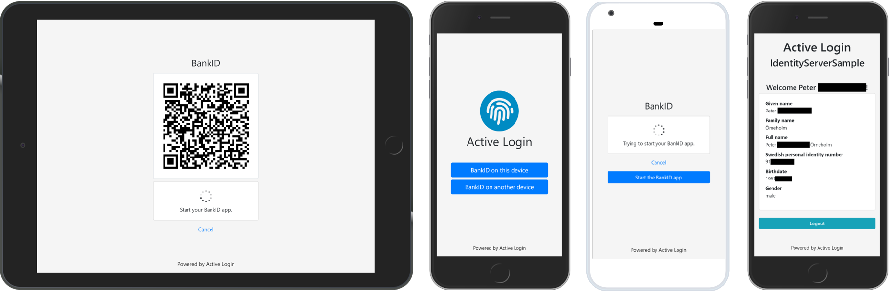 Active Login Screenshots