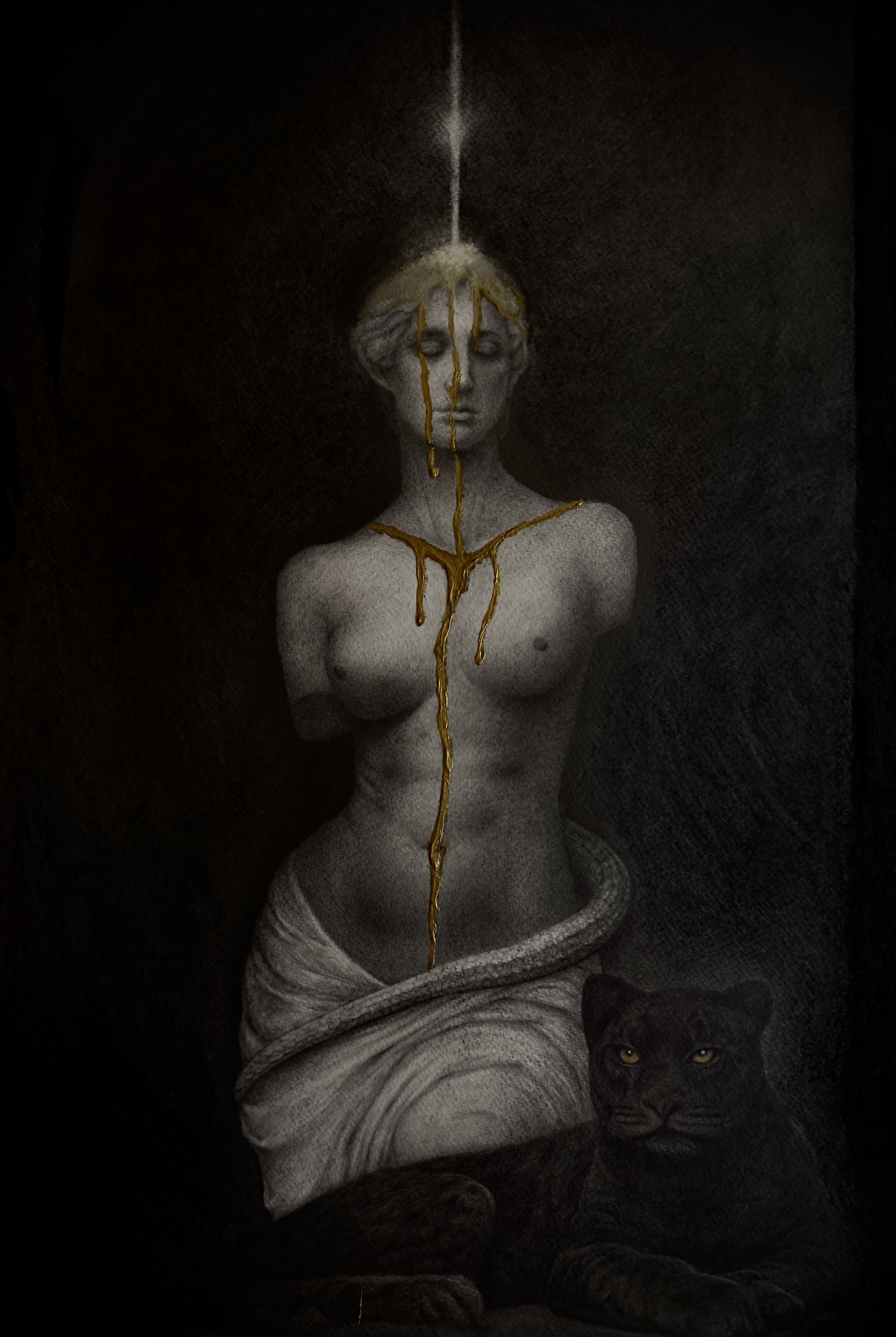 Venus — graphite, charcoal and gold on paper
