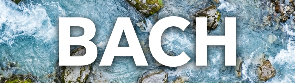 BACH Banner