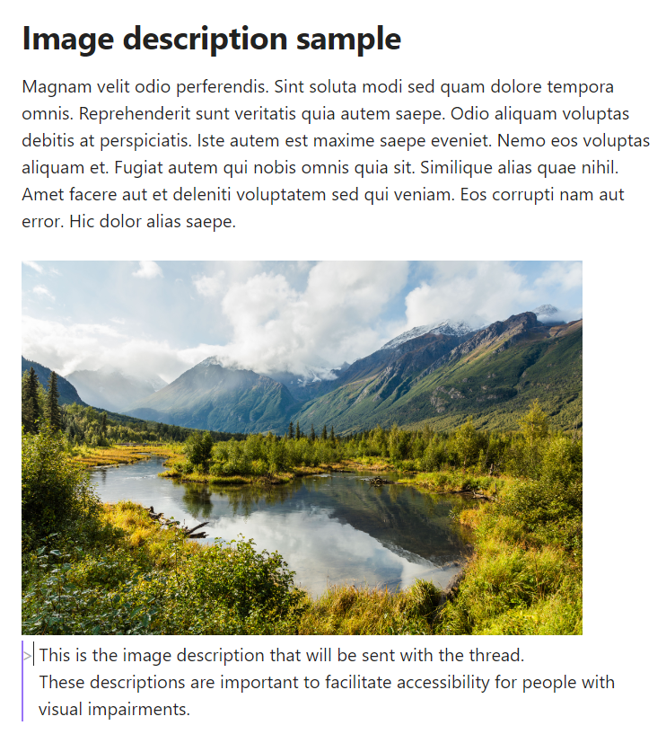 Screen capture with an image with description